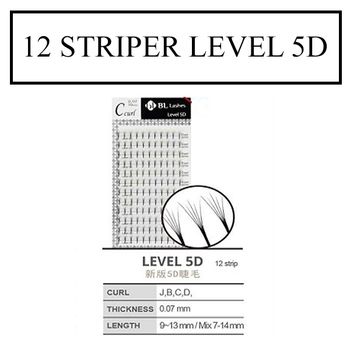 Hovedbilde 12 STRIPER LEVEL 5D