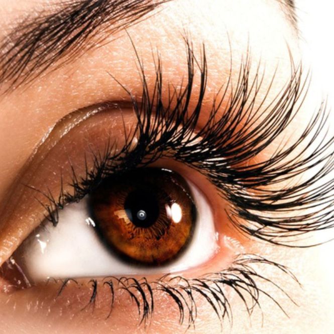 Hovedbilde DIVERSE KURS